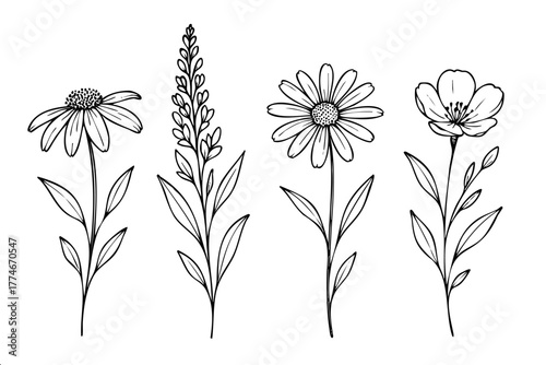 Four flowers are shown in the image. The flowers are different colors and sizes. The flowers are all lined up next to each other