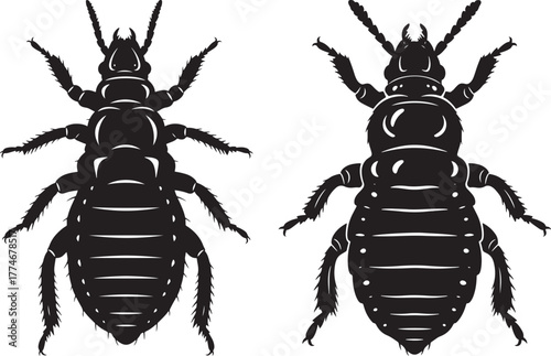 Two black insect silhouettes facing opposite directions