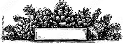 Rustic border of pine needles and fir cones for nature-inspired design projects