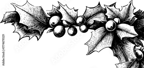 Decorative border with holly leaves and mistletoe for holiday design and cards