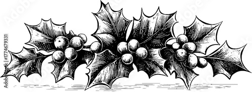 Festive holiday border with holly leaves and mistletoe for seasonal decoration