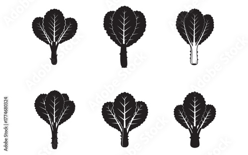 Seamless Pattern of Black Bok Choy Vegetable Silhouettes on White Background Graphic Design Element Healthy Food and Organic Produce