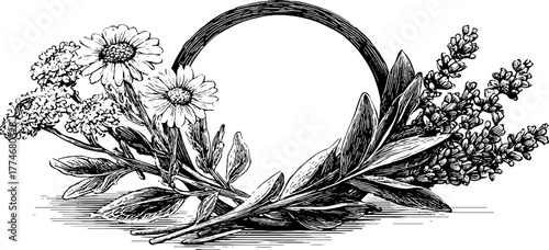 Elegant botanical circular design featuring wild herbs for decorative use