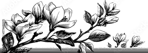 Delicate botanical engraving with abstract floral elements for design