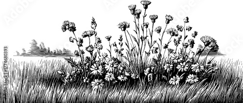 Intricate engraving of delicate botanical elements in nature scene for artistic decor