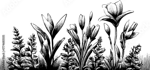 Modern botanical silhouette composition with abstract floral engraving for design projects