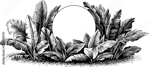 Engraved abstract symmetrical arrangement of tropical leaves for design and decoration