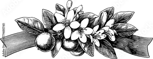 Intricate engraving of ancient floral garland with ribbons for vintage design