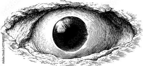 Vintage optical illusion with concentric ovals in hand-drawn style