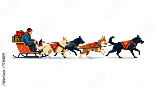 Four huskies in red harness pulling man on sled, dog sleds pulling sleds winter race