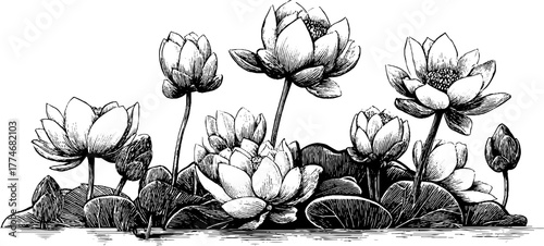 Vintage engraved border with stylized lotus flowers for antique decoration design