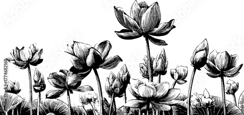 Vintage engraved lotus flower border pattern for retro design