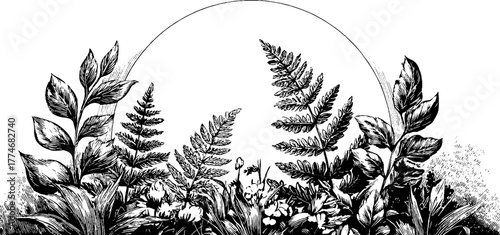 Engraved circular composition ferns radiating vintage sketch hand drawn engraving illustration. Symmetrical botanical design with intricate foliage and classic decorative style.
