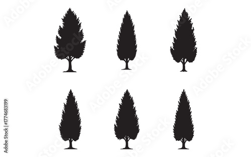 Silhouette of Italian Cypress Trees on White Background Evergreen Tree Collection Design Resource Forest Tree Varieties Isolated Elements for Garden Designs