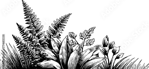 Engraved composition fern leaves geometric vintage sketch hand drawn engraving illustration. Botanical decorative motif with classic ornamental detail.
