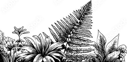 Vintage botanical illustration of fern leaves and flowers with geometric elements for design