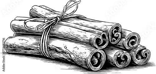 Vintage engraving of cinnamon sticks bundle with hand-drawn details for design