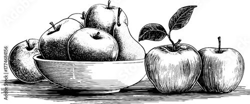 Vintage hand-drawn engraving of marble statue fragment and fruit bowl - ideal for art prints and posters