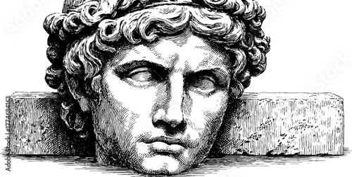 Intricate hand drawn marble bust fragment with classical details for artistic design