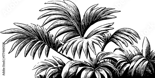 Tropical palm leaves overlapping geometric design for retro art decor