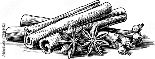 Vintage engraved spice composition featuring cinnamon sticks and star anise for culinary design