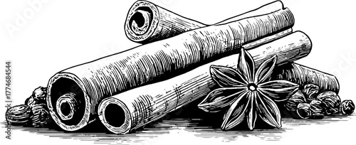 Vintage spice composition with cinnamon sticks and star anise sketch for retro design