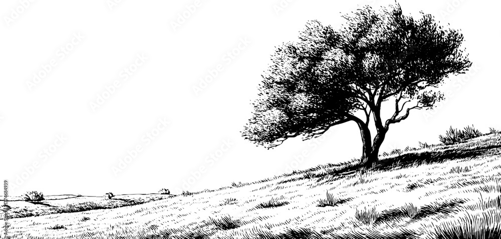 Fototapeta premium Wind-swept tree on hilltop in vintage engraved style for natural landscape design