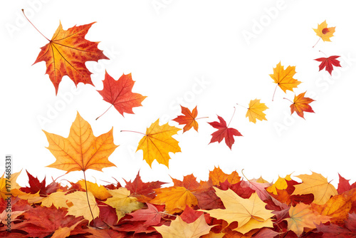 Red orange and yellow maple leaves fall and float through the air, with many resting below, isolated on a clean transparent background.