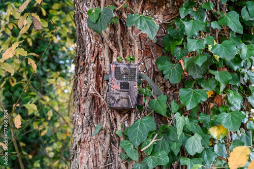 Photography Camouflaged hunting camera hidden on a tree in the forest