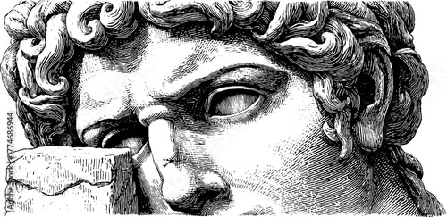 Fragmentary bust with detailed curls - vintage engraving with intricate sculpture features