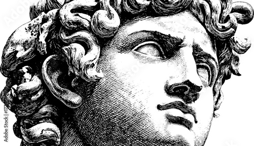 Classical bust with intricate curls in detailed engraving style