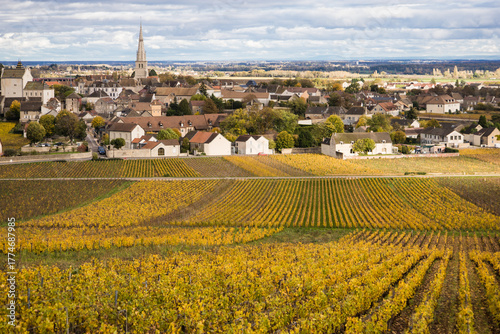 Meursault est une commune viticole française, située sur la route des Grands Crus du vignoble de Bourgogne, dans le département de la Côte-d'Or en région Bourgogne-Franche-Comté.