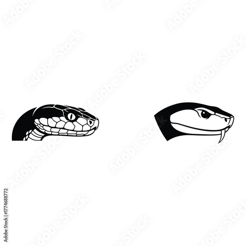Monochrome graphic set of two snake heads, a detailed viper and a stylized cobra, isolated for emblem or tattoo design