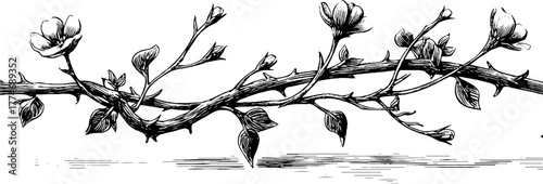 Vintage engraved ornamental band with intertwined vines design for decorative art