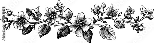 Vintage floral ornament with intertwined vines - ideal for design projects