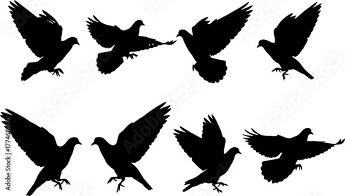 Collection of pigeon silhouettes flying against a white background