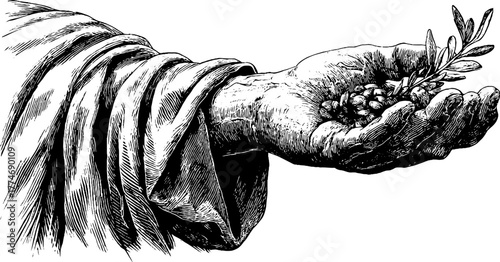 Classical marble hand fragment with olive branch - vintage etched design for art projects