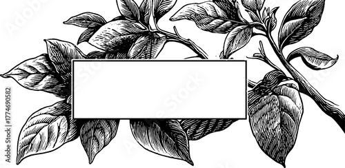 Minimalist engraved collage of tropical branches with linear decoration for retro design