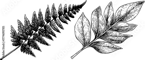 Minimalist engraved fern leaf with geometric design element for decorative art and print