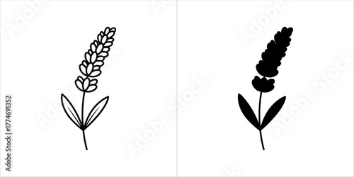 Vector art of two lavender sprigs, one outlined and one solid black