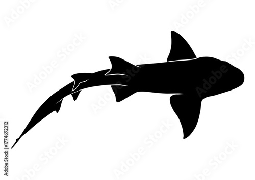 Nurse Shark