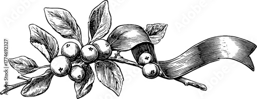 Vintage ornamental composition featuring intertwined ribbons and fruit elements for decorative design