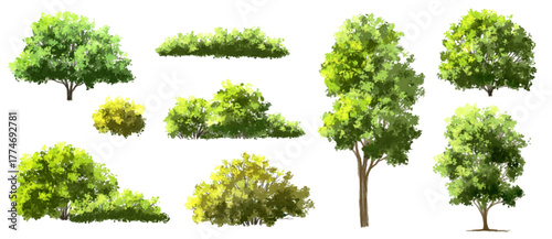 Vertor set of green tree,plants side view for landscape elevations,element for backdrop,eco environment concept design,watercolor greenery scene,shrub