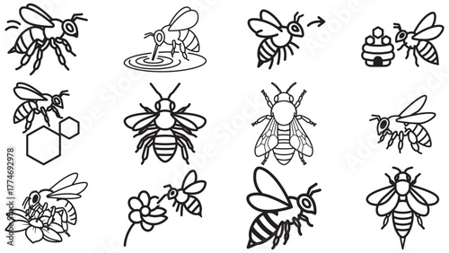 Line Art Black Stroke Bee Icon Set With Multiple Poses, Pollinator Outline Vector Sheet For Nature, Garden And Ecology Designs