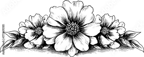 Engraved floral pattern vintage wallpaper symmetric design art decor retro flower hand drawn engraving etching. Ornate botanical motif with detailed classic symmetry and artistic harmony.
