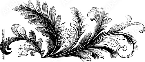 Vintage botanical engraving of stylized ferns and tendrils for retro design