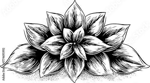 Vintage engraved rosette pattern with stylized leaves design for decorative use