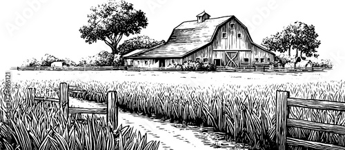 Rustic farmhouse with barn and wheat field scene for vintage design