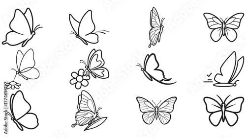 Butterfly Line Art Stroke Icons In Many Poses, Elegant Outline Vector Set For Garden, Meadow And Wildlife Graphics