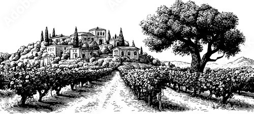 Scenic vineyard terrace with grape vines and historic architecture in a vintage engraving style
